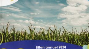 Bilan de la qualité de l’air 2024. ATMO NORMANDIE.